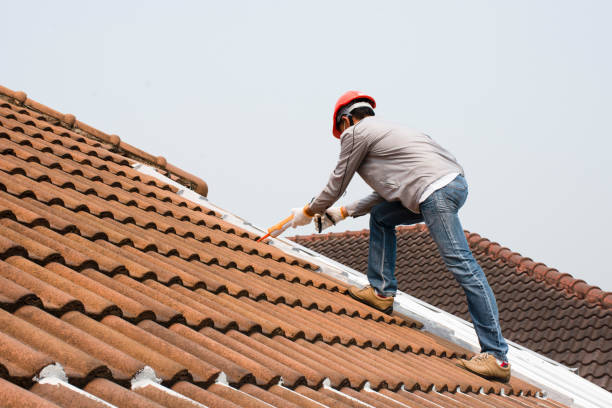 Best Roofing for New Construction  in Plainfield, NJ